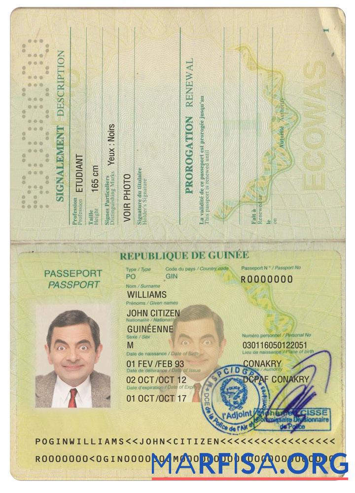 Blank Guinea passport version 2 real example
